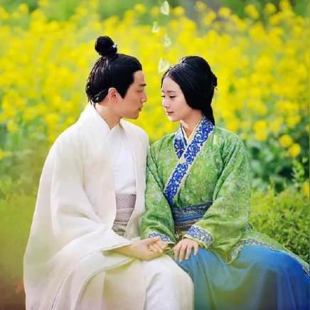 (庶女攻略 剧情简介)庶女攻略完整版:揭秘古装剧背后的权谋与情感纠葛