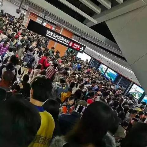 生化围城好玩吗?全面解析游戏特色与玩家体验,带你深入探讨这款热门作品的魅力所在