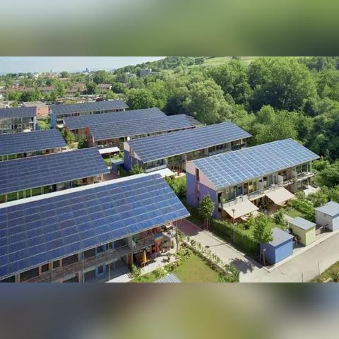 (猫宅日记的礼包码是多少)2024年猫宅日记兑换码:全新电视版带来全新体验