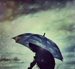 (淋雨少年动漫图片)淋雨少年:在挑战与坚持中探索最终法则的成长之路